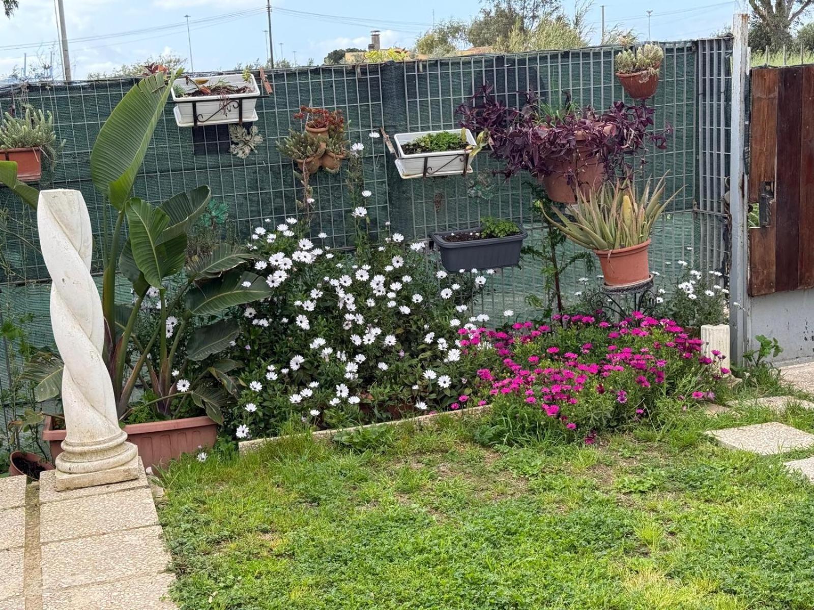 Flower House Civitavecchia Extérieur photo